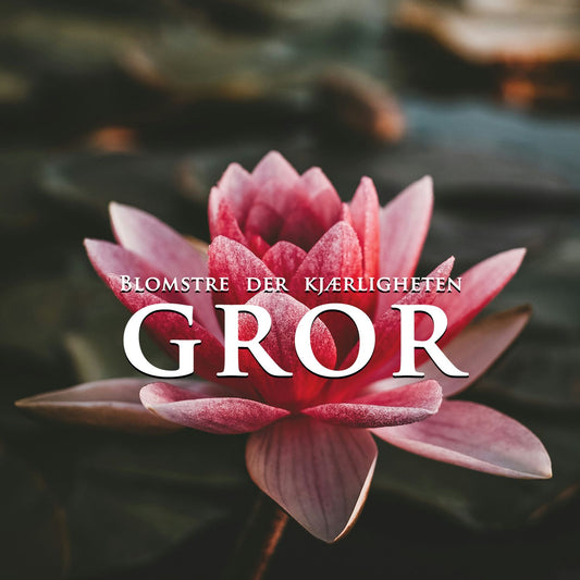 Blomstre der kjærligheten gror – En guide til å styrke relasjoner (ebok)