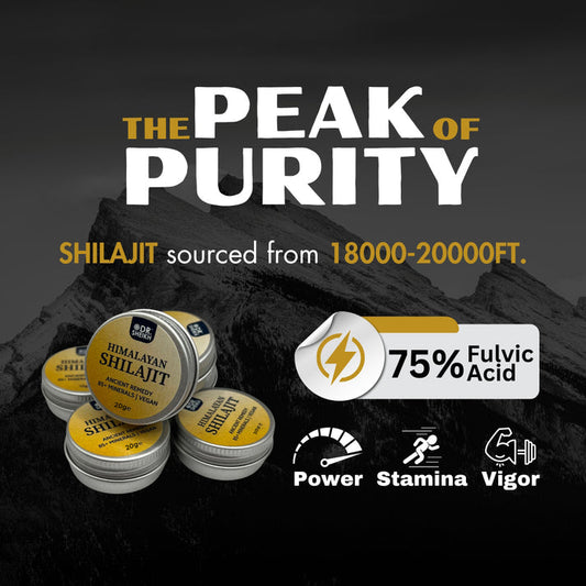 Premium Himalayan Shilajit Resin - 20g