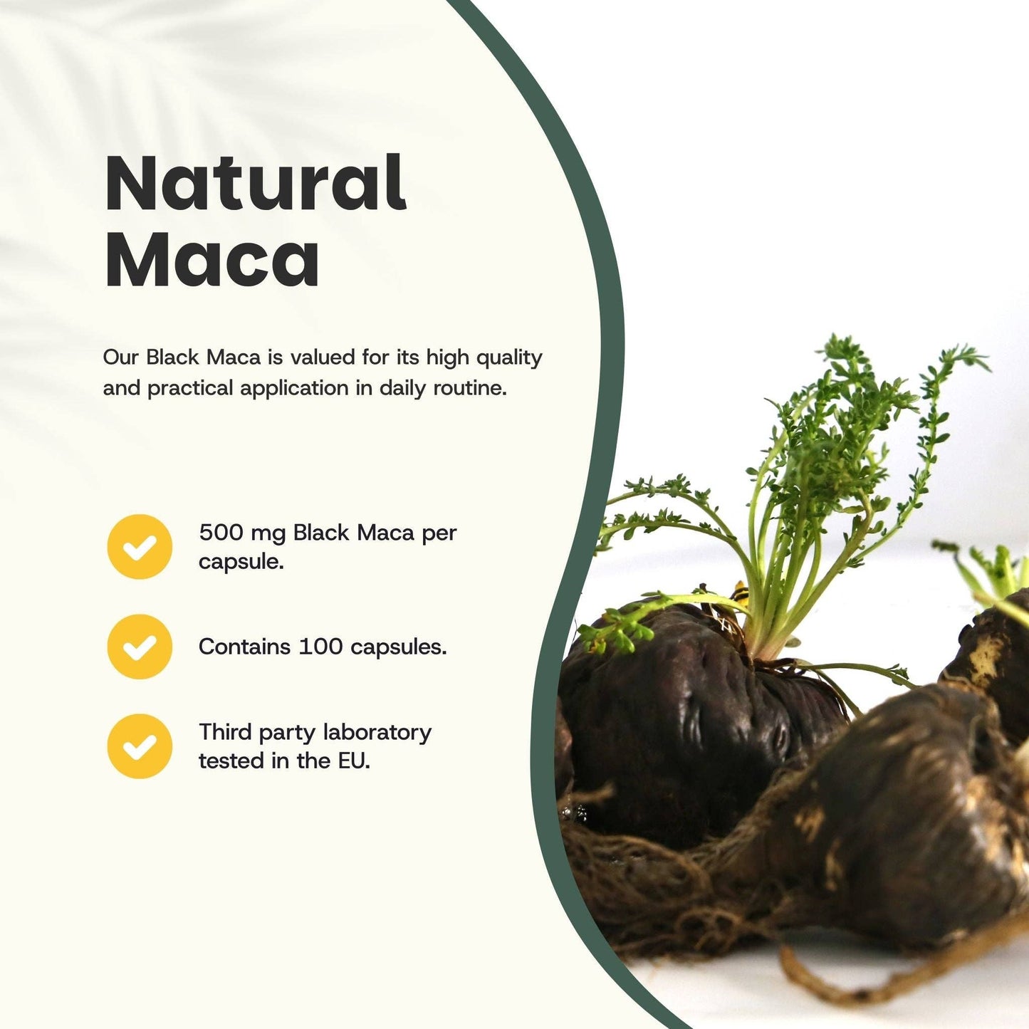 Black Maca Capsules 500mg Organic - 100 Capsules