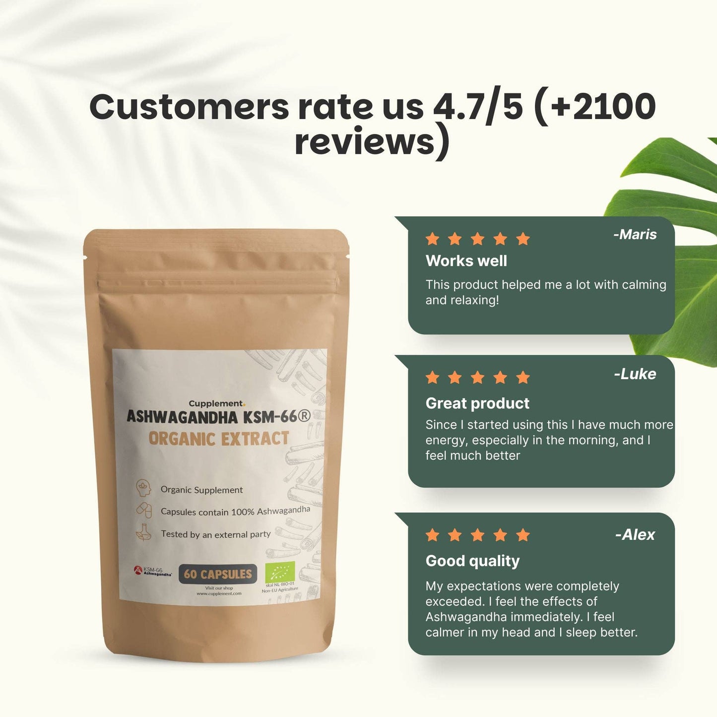Ashwagandha KSM-66 Capsules 500 mg Organic -  60 Capsules