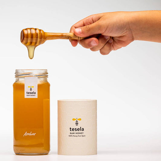 TESELA Premium Orange Blossom Honey 320g