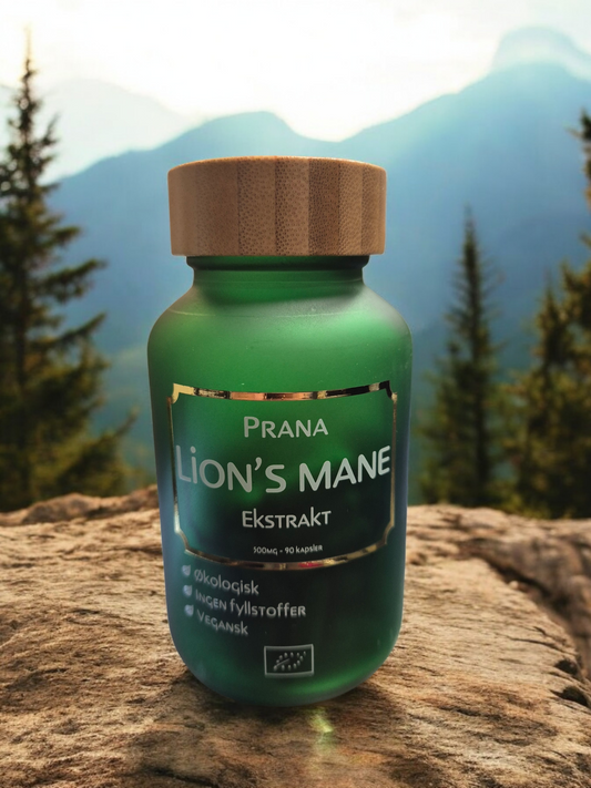 Lion's Mane 500mg - 90 kapsler