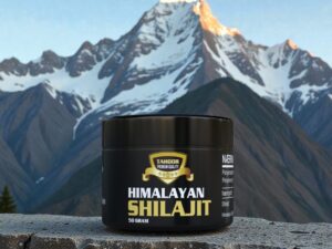 Himalayan Shilajit - 50 g